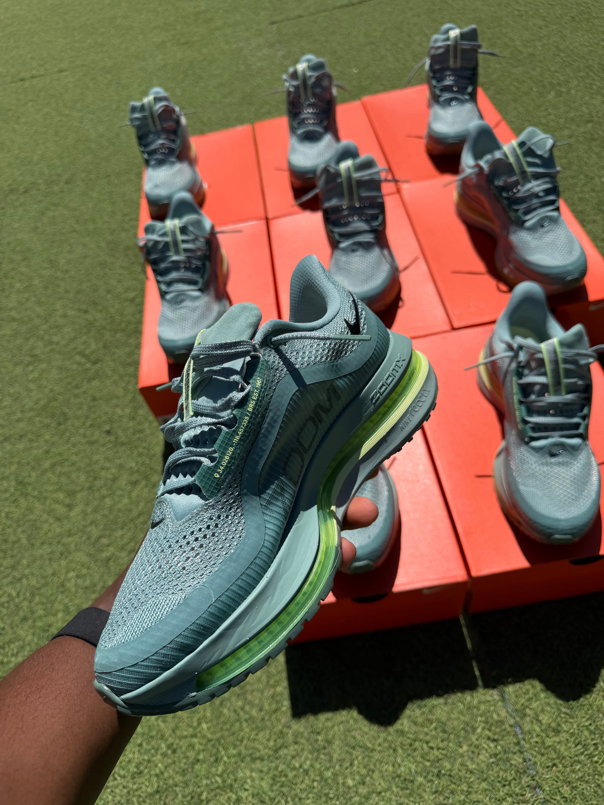 Nike Pegasus Premium ( vert cannon )