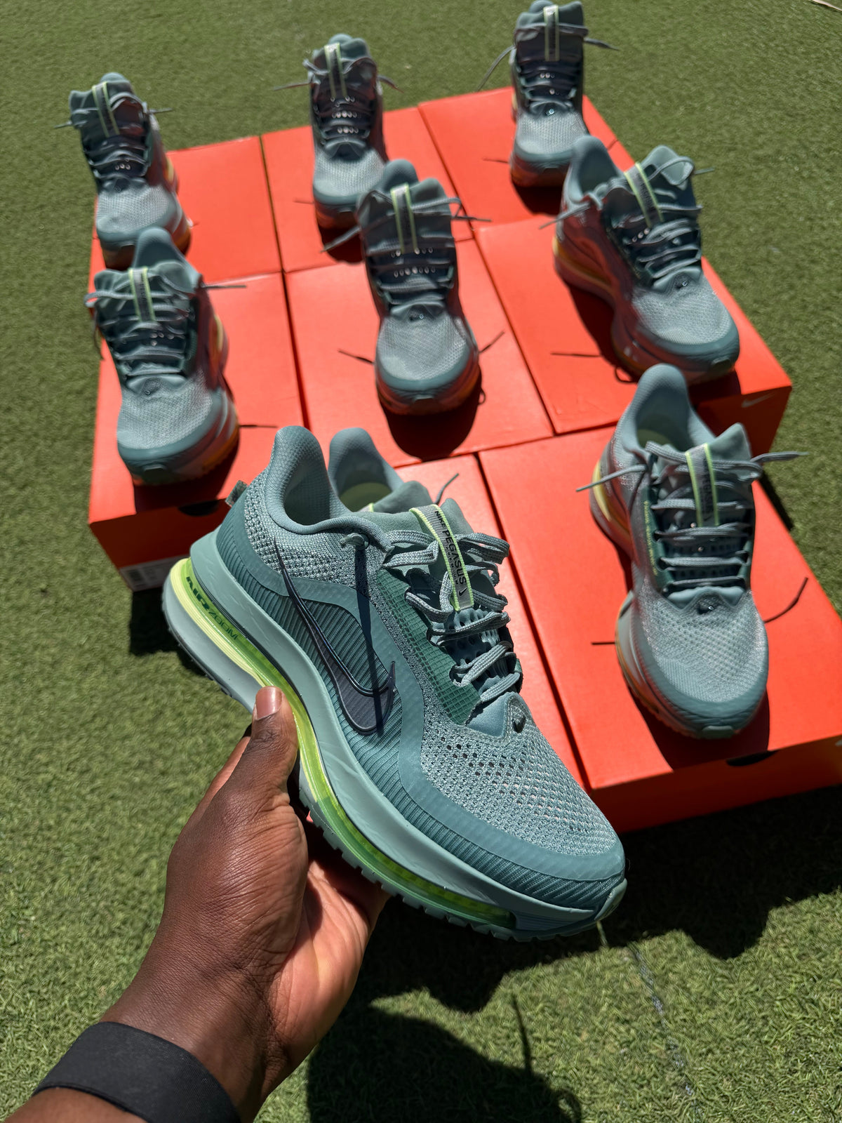 Nike Pegasus Premium ( vert cannon )